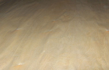 Korona ciętych licówek z brzozy z 0.5mm grubości dla paneli ściennych