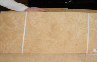 Okleina drewniana fornirowana cięciem ciętym z grubością 0,45 mm
